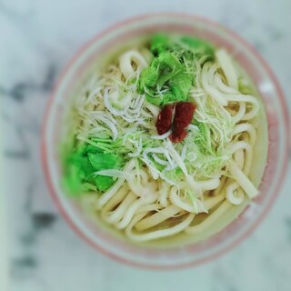 シラスと梅のさっぱりうどん